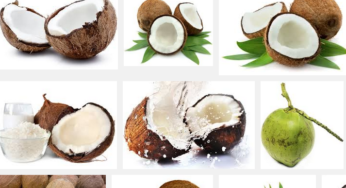 Coconut Water Benefits During Pregnancy