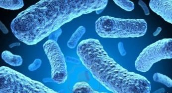 Antibiotic Resistant Bacteria: W.H.O List Deadly Antibiotic Resistant Bacteria Which Pose Threat To Human Health