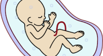 Scientists in UK working on making babies from 2 women and 1 man