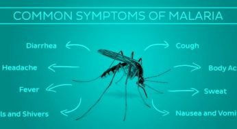 Malaria Symptoms: Common Malaria Symptoms & Treatment