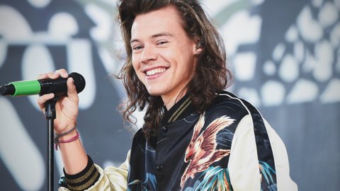 Harry Styles Delivers Kiwi to Fans Waiting in 'SNL'