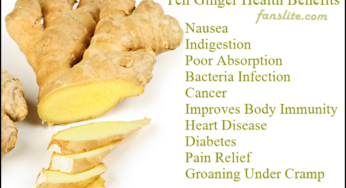 10 Important Ginger Health Benefits.