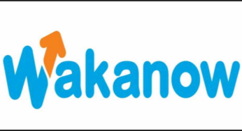 Wakanow Online Booking – Wakanow Flight Booking