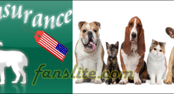 Download United States Pet Insurance Mobile App For Best Pet Insurance