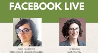 Imagine Nelson Mandela and Martin Luther Used Facebook Live For Activism