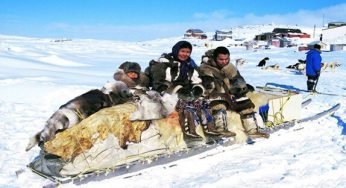 Eskimo – Inuit cuisine – Eskimo Food & Drink App