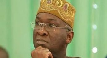 Babatunde Fashola Biography And Net Worth – Lifestyle Of A Political Technocrat