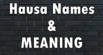 Hausa Names and Meaning