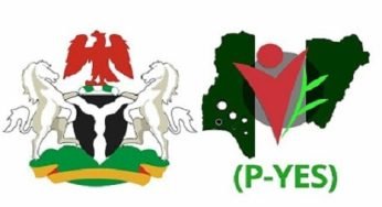 PYES Login Portal – Full Online Guide On How To Login To PYES Portal