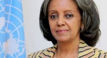 Sahle-Work Zewde – Biography And Net Worth Of Ethiopia’s First Female President
