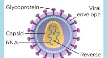 Symptoms Of HIV In Men – Early and Later-Stage Signs to Know
