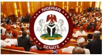 List of Senate Presidents in Nigeria From 1960 Till Date and Their Political Party