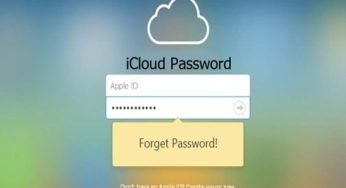 iCloud Password: How to Reset Apple ID Password on iPhone/iPad
