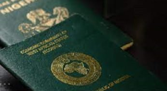 How to Trace Nigerian Passport/Travel Document Number Online