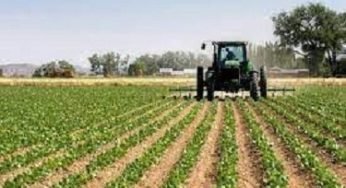 Federal Government Agric Loan Application Guide