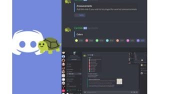 Carl Bot – Carl-Bot Dashboard | Carl Bot Discord