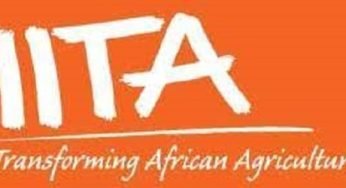 International Institute of Tropical Agriculture Recruitment – How to Apply