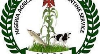 NAQS Recruitment – Application Requirements Eligibility and Procedure