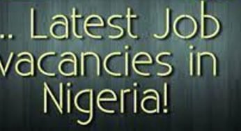 Damco Nigeria Recruitment | Application Requirement and Guideline
