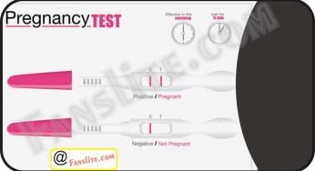 Home Test for Pregnancy – Pregnancy Test – How Do I Know I’m Pregnant – Human Chorionic Gonadotropin