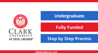 Clark University for Undergraduates Scholarship