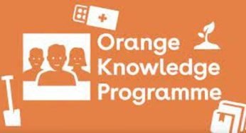 Orange Knowledge Scholarship | Apply For OKP Scholarship for Postgraduates