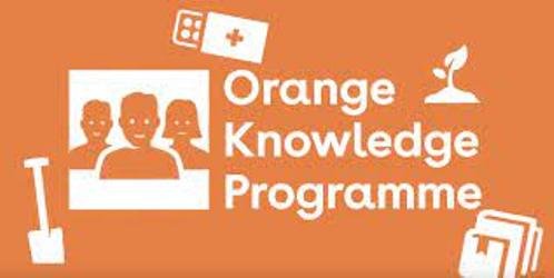 Orange Knowledge Scholarship | Apply For OKP Scholarship for Postgraduates