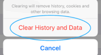 How to Clear Browser History on iPhone