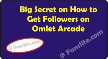 Fellower Online – Big Secret on How to Get Followers on Omlet Arcade