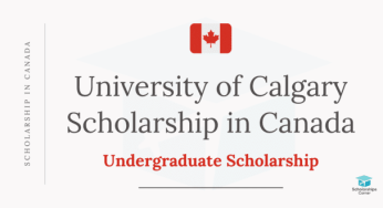 University of Calgary Undergraduate Scholarships Application