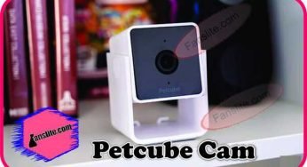 Update on Petcube Cam Is A Tiny, Intelligent Way To Keep Tabs On Your Pets