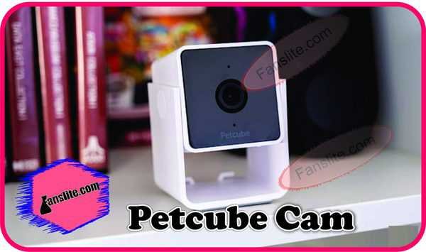 Update on Petcube Cam Is A Tiny, Intelligent Way To Keep Tabs On Your Pets