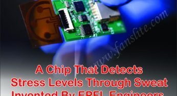 A Chip That Detects Stress Levels Through Sweat Invented By EPFL Engineers.