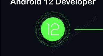 The First Android 12 Developer Preview.