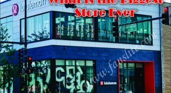 What is the Best Supermarket in the World – What is the Biggest Store Ever