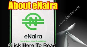 All You Need to Know About eNaira Price