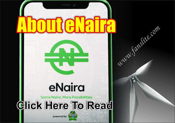 All You Need to Know About eNaira Price