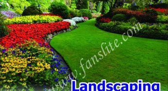 Landscaping – What are the types of Landscaping?