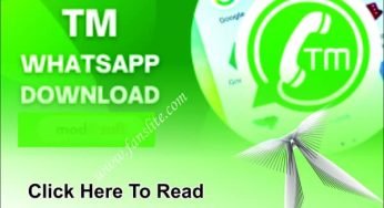 Update On TMWhatsApp – How To Download TM WhatsApp