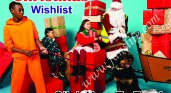 Christmas Wishlist Ideas – What Should I Put On My Christmas Wishlist?