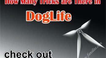 How Many Tricks are There in DogLife