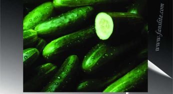Wonderful Health Benefits of Cucumber – Is Cucumber Good for Body