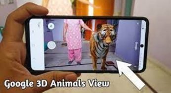How to View Animals in 3D on Google