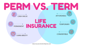 Term vs. Whole Life Insurance – What’s the Difference?