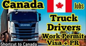 Photographer Jobs in USA with Visa Sponsorship